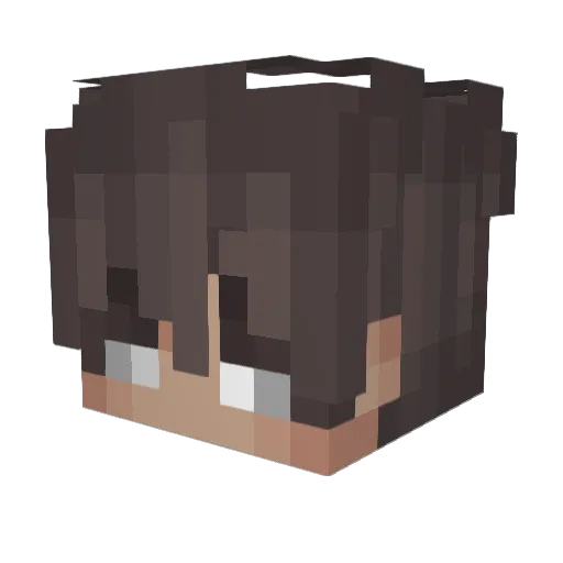 rollotom2 Minecraft avatar head, 3D render