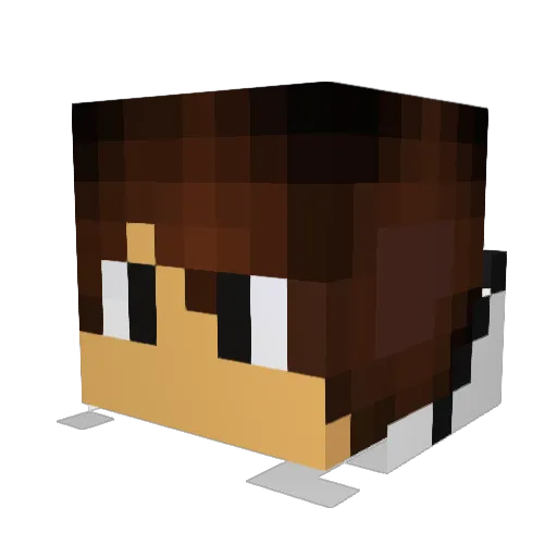 rollypolly3000 Minecraft avatar head, 3D render