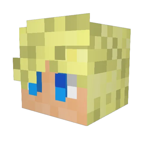 rollypollybird Minecraft avatar head, 3D render