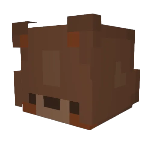 rolopute Minecraft avatar head, 3D render