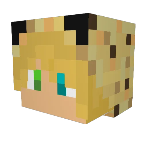 rolschaatsen Minecraft avatar head, 3D render