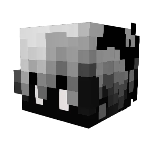 rolveisquality Minecraft avatar head, 3D render