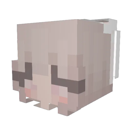 rom_levy Minecraft avatar head, 3D render
