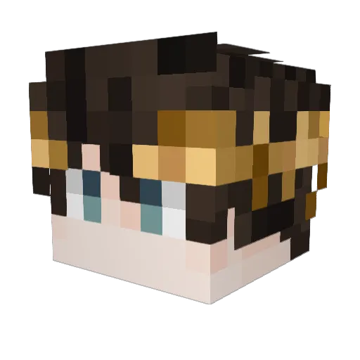 roman2111 Minecraft avatar head, 3D render