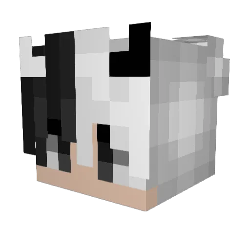 romara17 Minecraft avatar head, 3D render