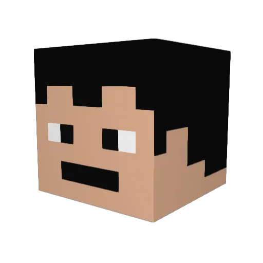romeinstein Minecraft avatar head, 3D render