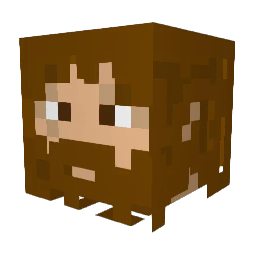 romeoinacoma Minecraft avatar head, 3D render