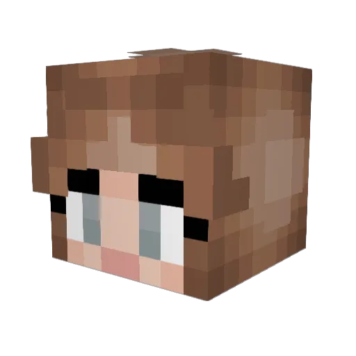 romesaa Minecraft avatar head, 3D render