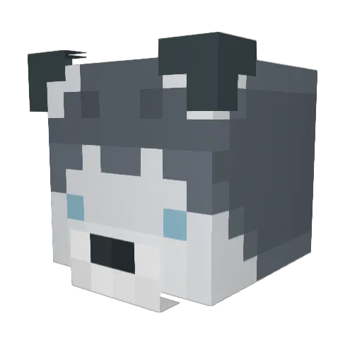 romeyaps Minecraft avatar head, 3D render