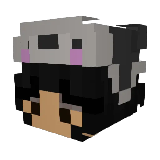 rommie_e Minecraft avatar head, 3D render