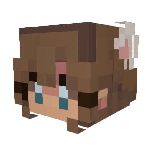 roms29 Minecraft avatar head, 3D render