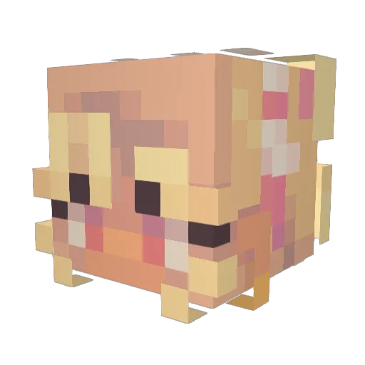 romtheebom Minecraft avatar head, 3D render