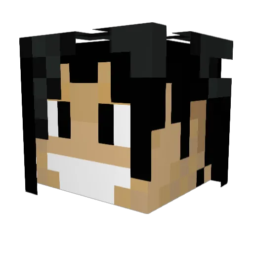 romulus29 Minecraft avatar head, 3D render