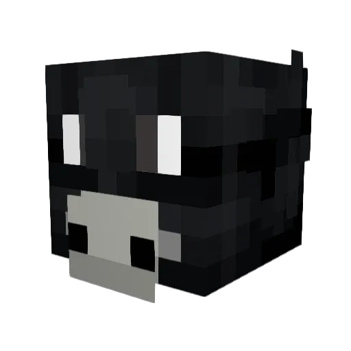 rondocrazyyy Minecraft avatar head, 3D render
