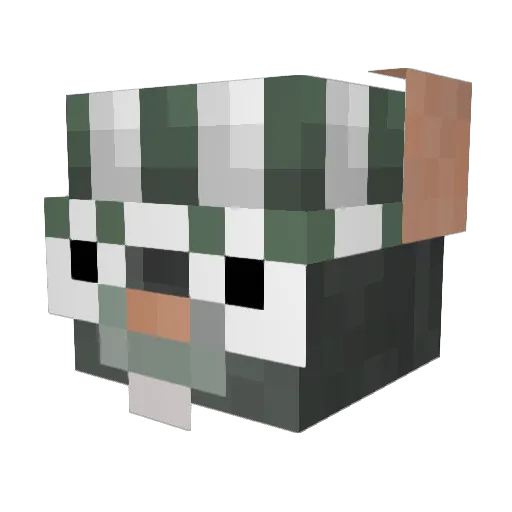 rongeur4400 Minecraft avatar head, 3D render