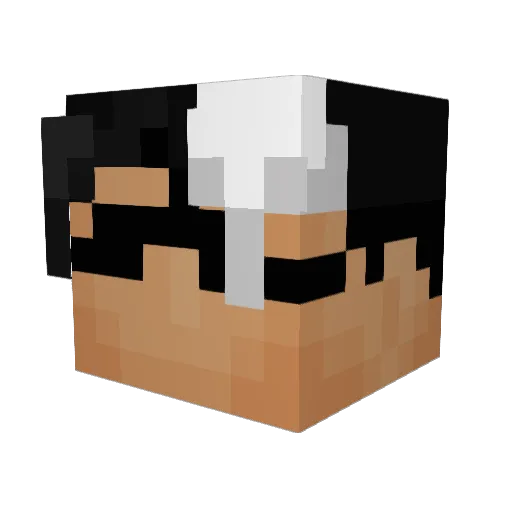 ronguest Minecraft avatar head, 3D render