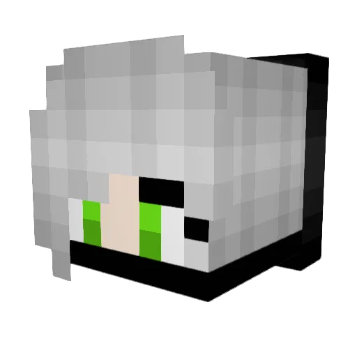roni06 Minecraft avatar head, 3D render