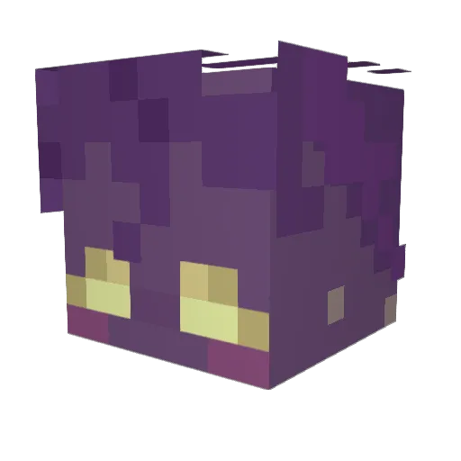 roniaCh0 Minecraft avatar head, 3D render