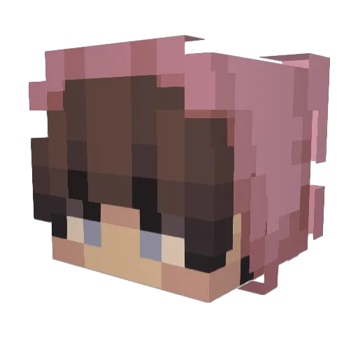 ronieee222 Minecraft avatar head, 3D render