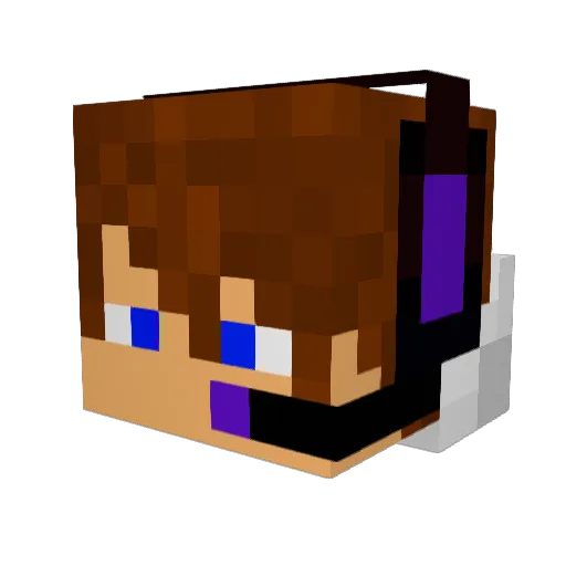 ronin828 Minecraft avatar head, 3D render