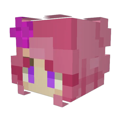 ronize9 Minecraft avatar head, 3D render