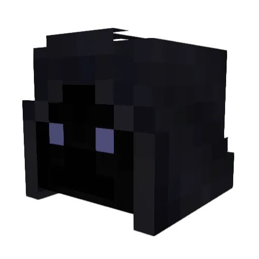 ronnie3466 Minecraft avatar head, 3D render