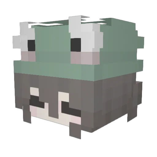 ronnieerose Minecraft avatar head, 3D render