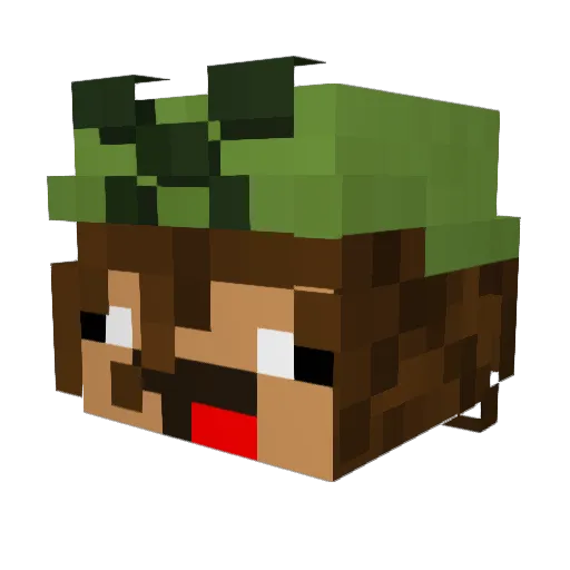 ronnoc02 Minecraft avatar head, 3D render