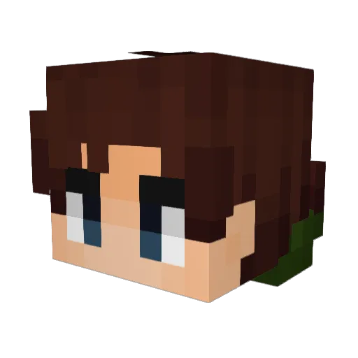 ronnoc1054 Minecraft avatar head, 3D render