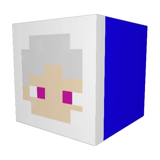 ronny1206 Minecraft avatar head, 3D render