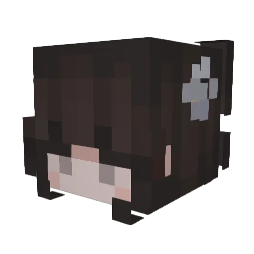 rontongle Minecraft avatar head, 3D render