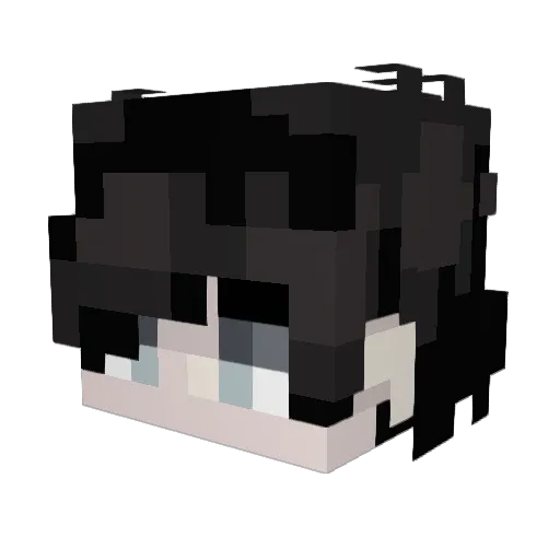 ronyboy15 Minecraft avatar head, 3D render