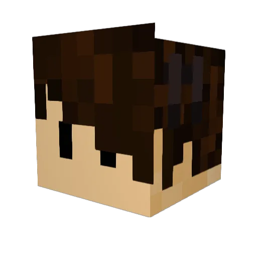 roo255 Minecraft avatar head, 3D render