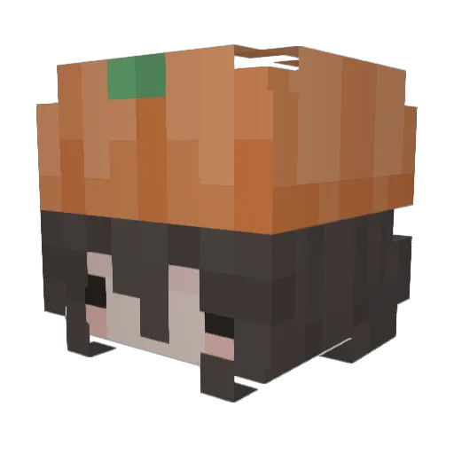 roobay Minecraft avatar head, 3D render