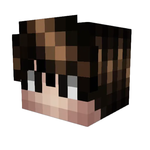roobein123 Minecraft avatar head, 3D render