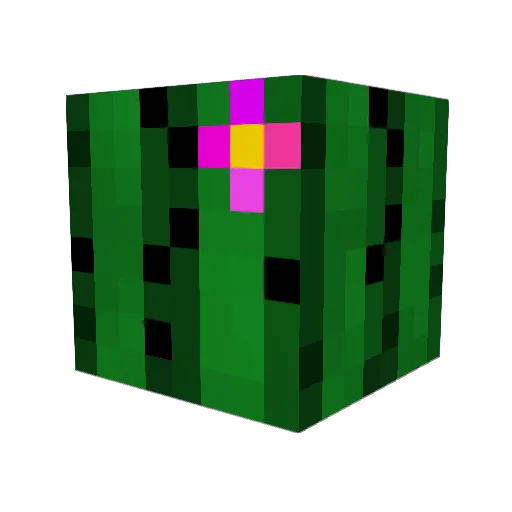 rooferie Minecraft avatar head, 3D render