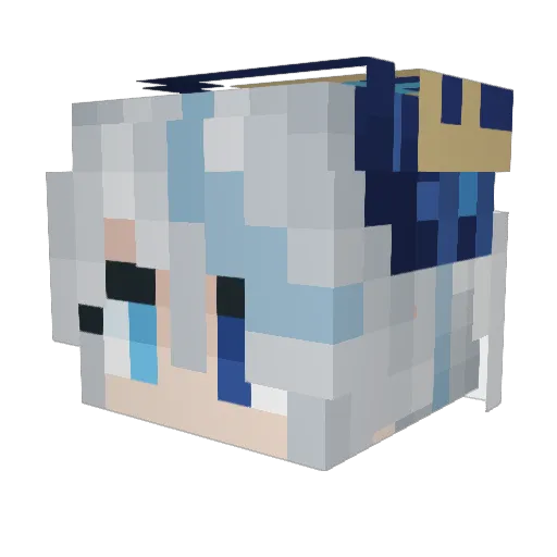 rooger666 Minecraft avatar head, 3D render