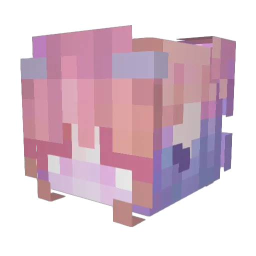 roojeez Minecraft avatar head, 3D render