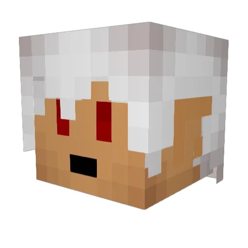 rook753 Minecraft avatar head, 3D render