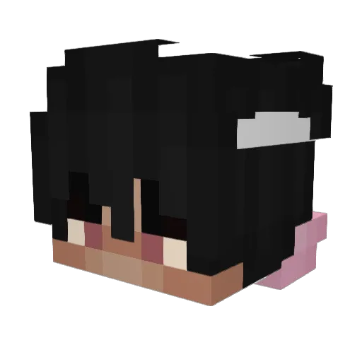 rookeri123 Minecraft avatar head, 3D render