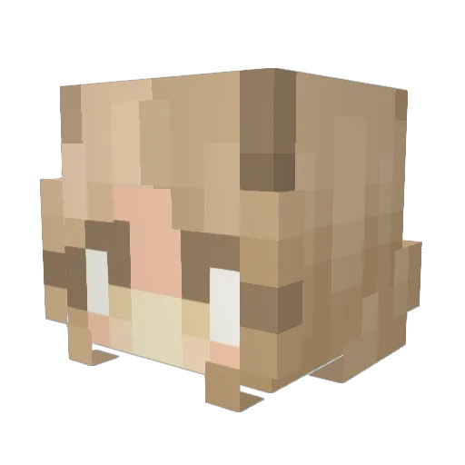 rookieh Minecraft avatar head, 3D render