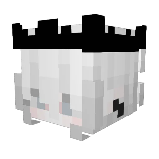 rookipooki Minecraft avatar head, 3D render