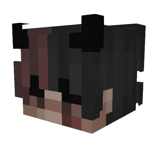 rookrook Minecraft avatar head, 3D render
