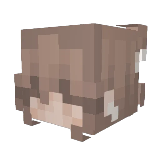 roophobic Minecraft avatar head, 3D render