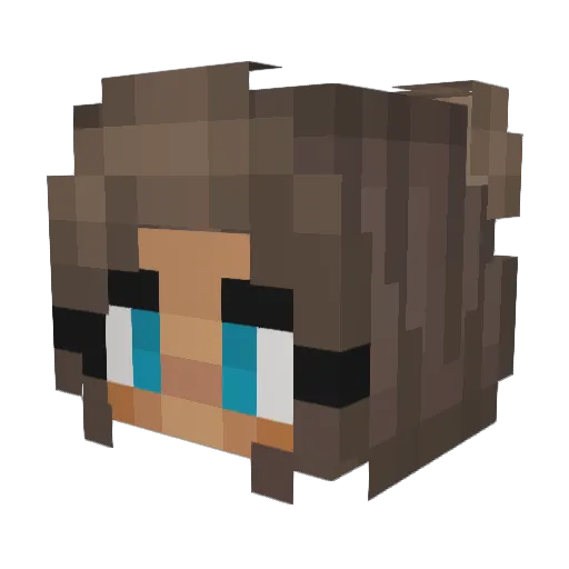 roosbaguette Minecraft avatar head, 3D render