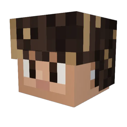 rooselkoosel Minecraft avatar head, 3D render