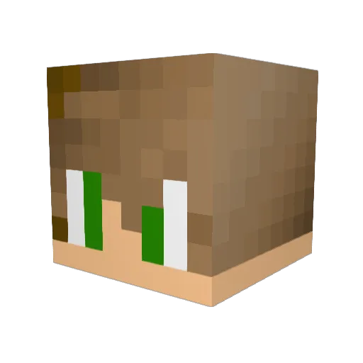 rooster703 Minecraft avatar head, 3D render