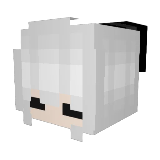 rooynner Minecraft avatar head, 3D render