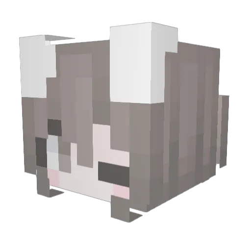 ropepuppy Minecraft avatar head, 3D render