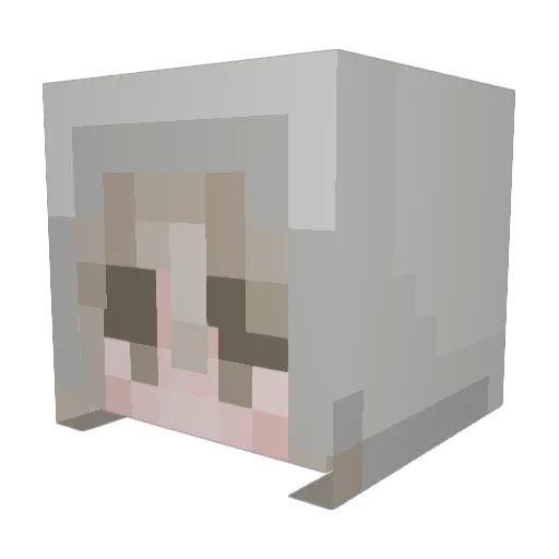roperrr Minecraft avatar head, 3D render